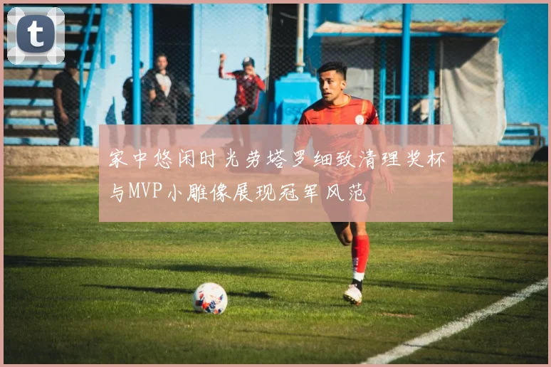 家中悠闲时光劳塔罗细致清理奖杯与MVP小雕像展现冠军风范