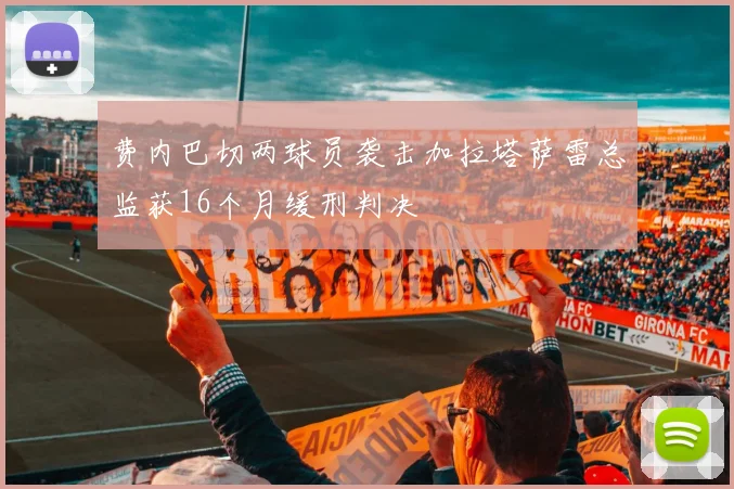 费内巴切两球员袭击加拉塔萨雷总监获16个月缓刑判决